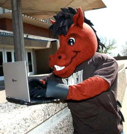 Mustang Laptop